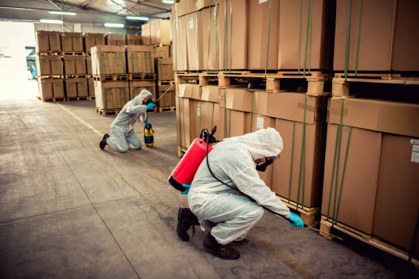 Best Best Pest Control Companies  in Green Island, NY