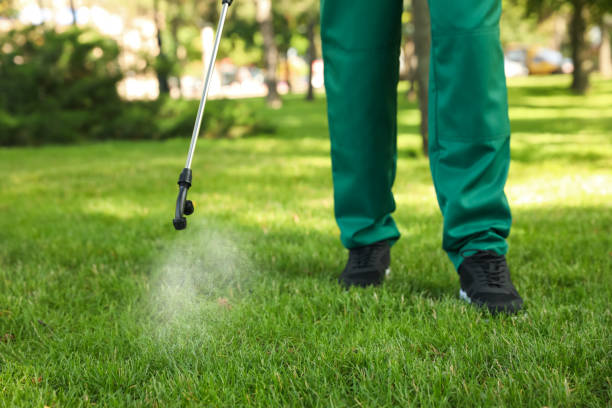 Best Local Pest Control Services  in Green Island, NY