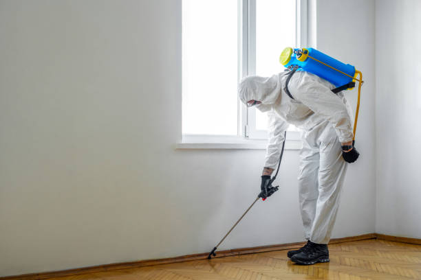 Best Pest Control Treatment  in Green Island, NY