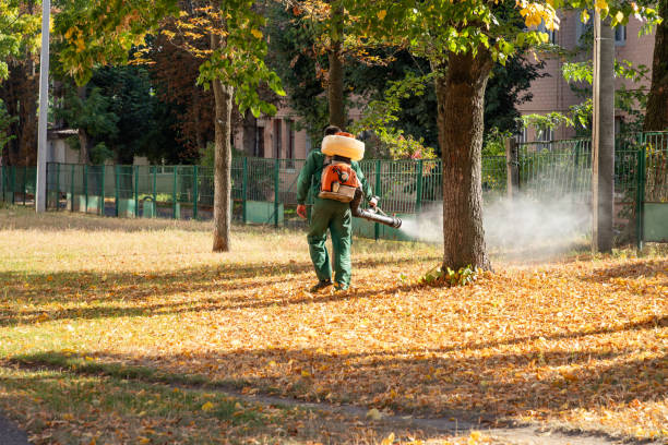 Best Pest Removal Services  in Green Island, NY