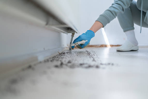 Best Pest Inspection Near Me  in Green Island, NY